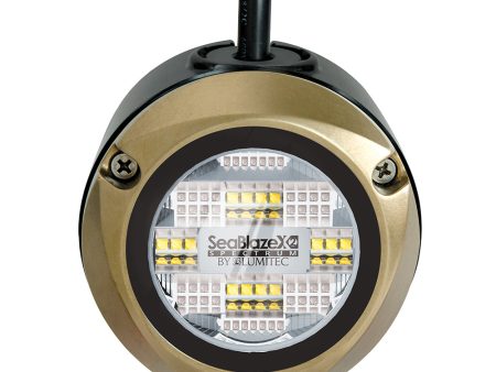 Lumitec Kraken Underwater Dock Lighting System - Spectrum RGBW [101637] Discount